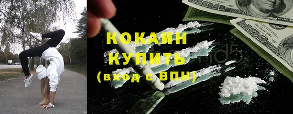 молекула духа Елизово