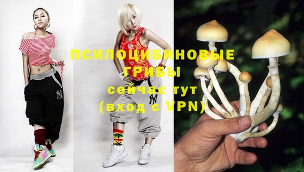 героин Елабуга