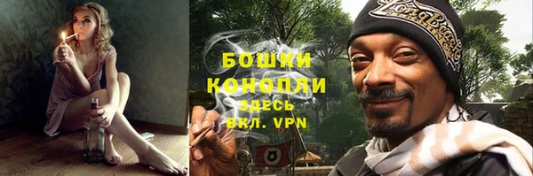 молекула духа Елизово