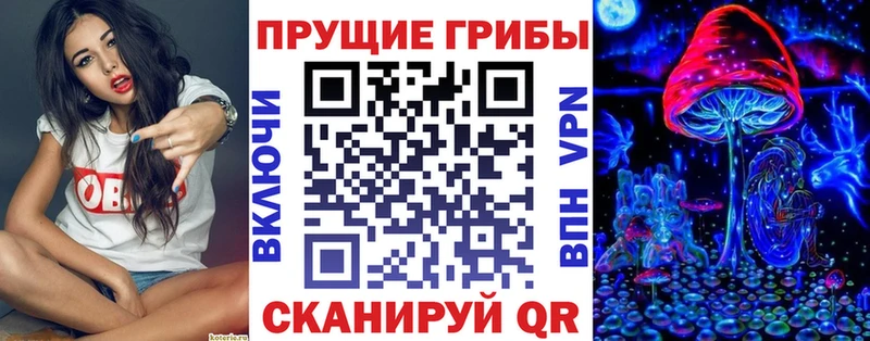Галлюциногенные грибы мицелий  Карачаевск 