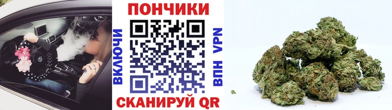 наркошоп  Карачаевск  Конопля LSD WEED 